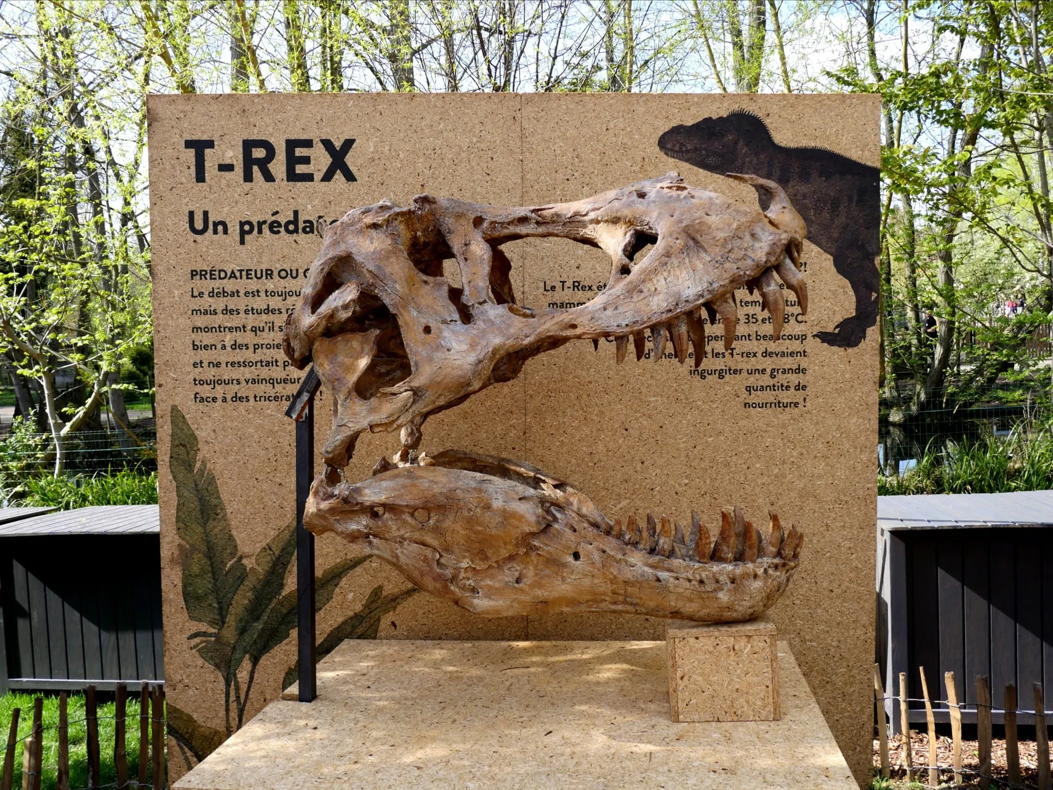 DES DINOS AU ZOO