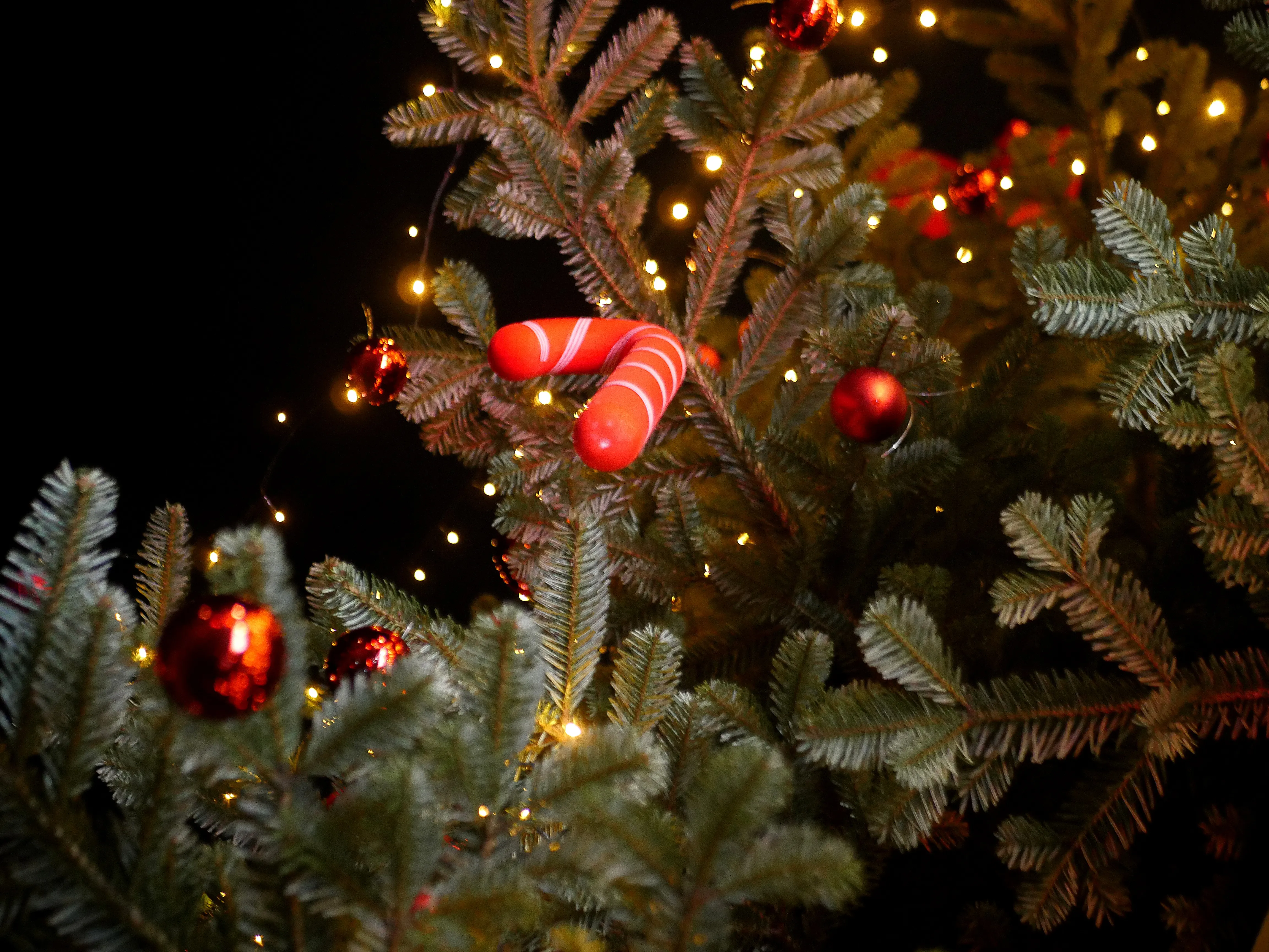 L’ENGLISH PUB BRILLE POUR NOËL