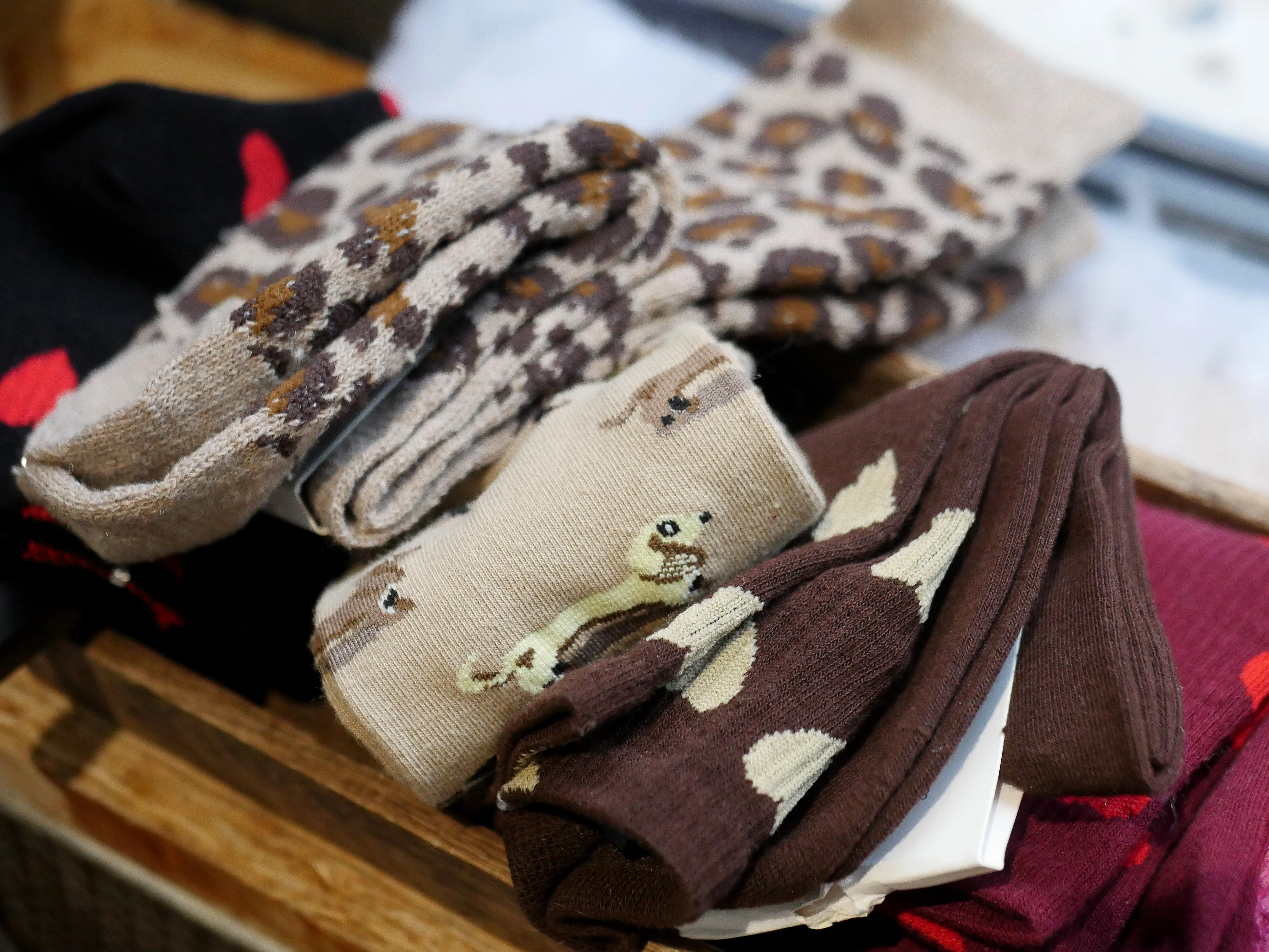 LA PÉPITE CACHÉE DU LOGIS DU ROI