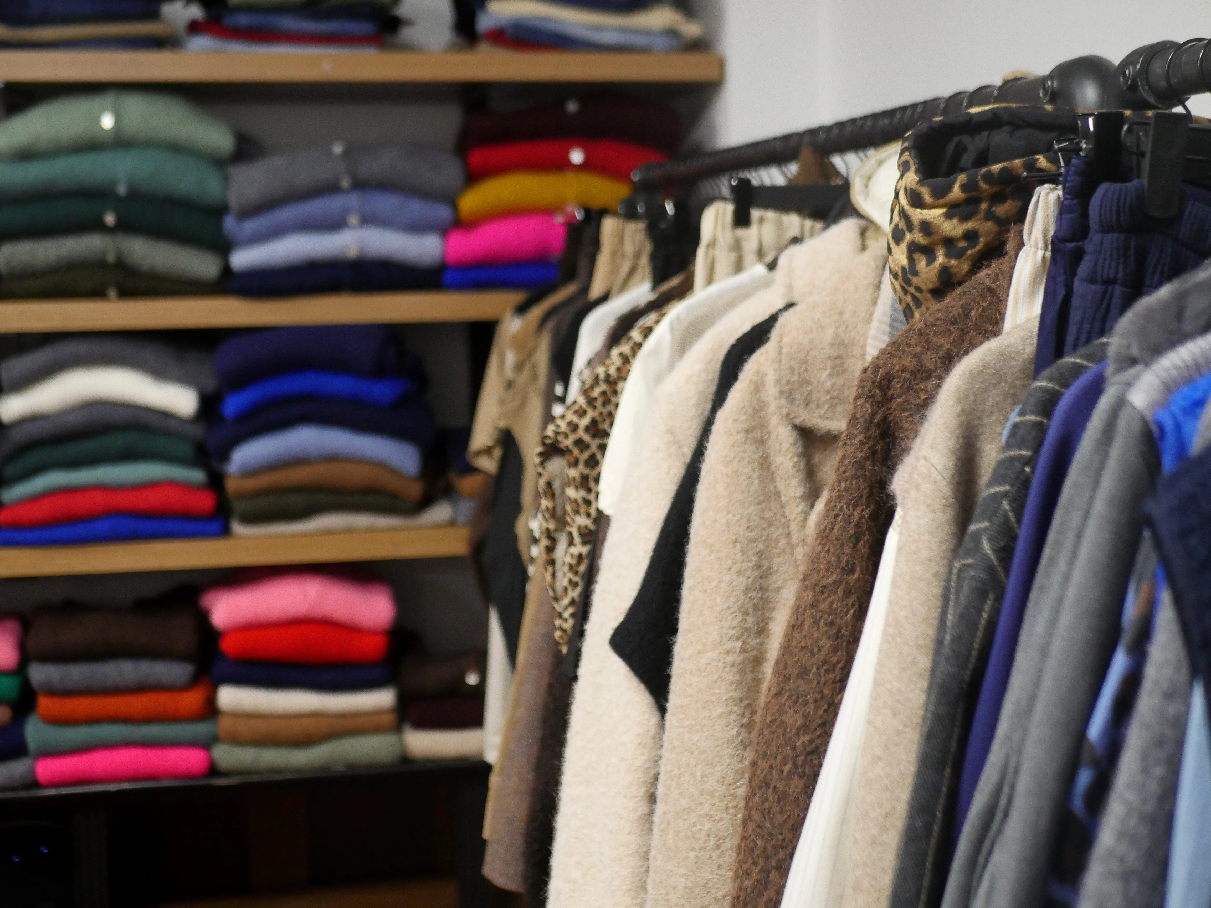 LA PÉPITE CACHÉE DU LOGIS DU ROI