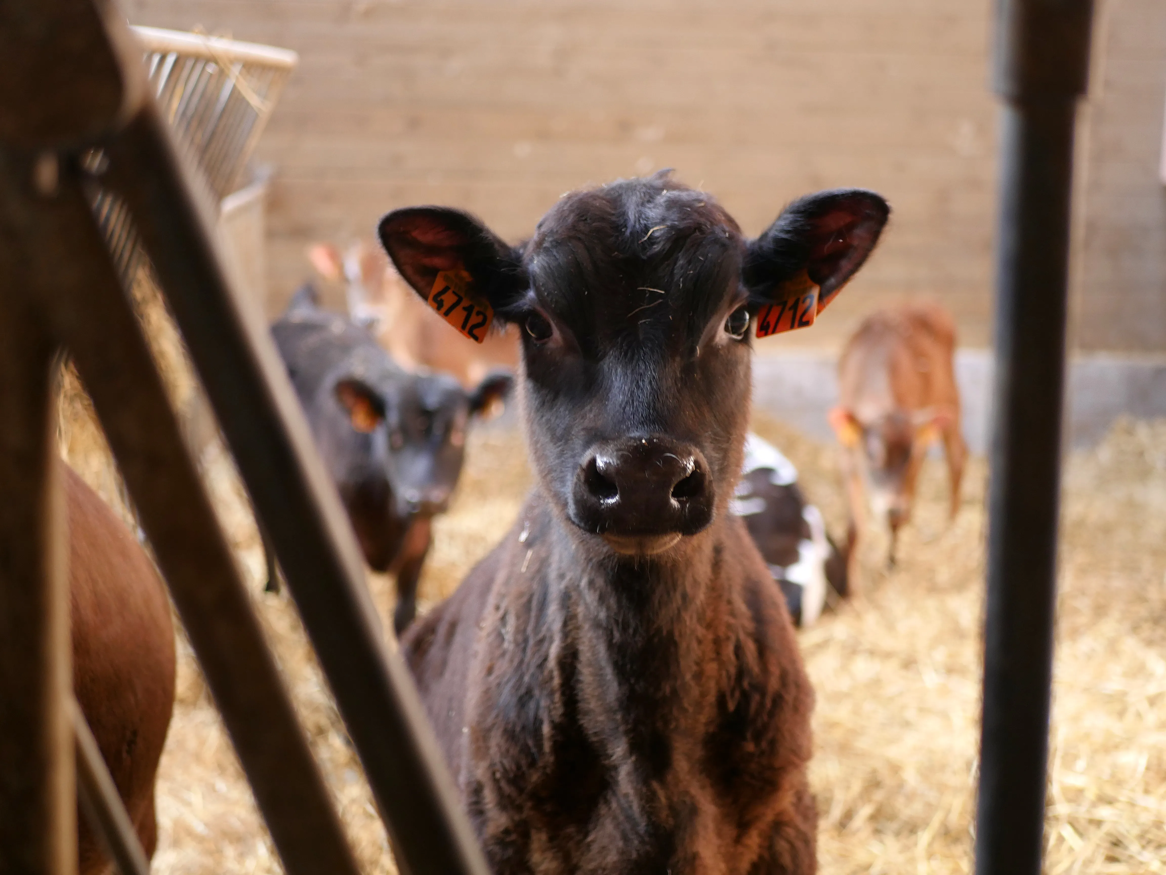 MÉDAILLÉ AU SALON DE L'AGRICULTURE