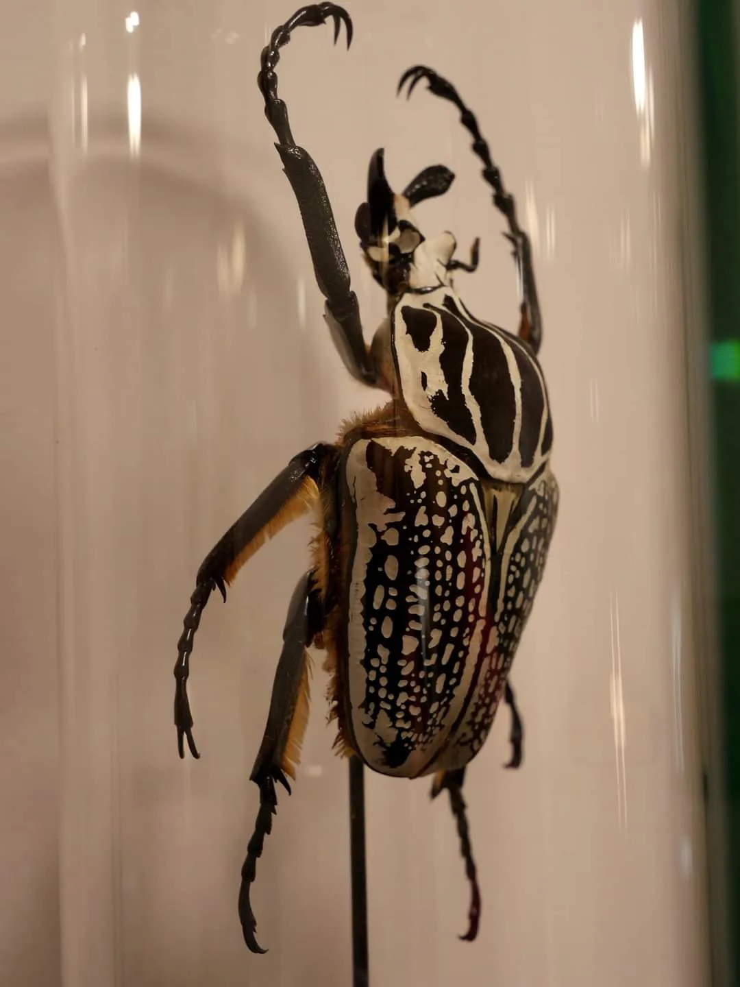 UNE BIJOUTERIE ARTISANALE