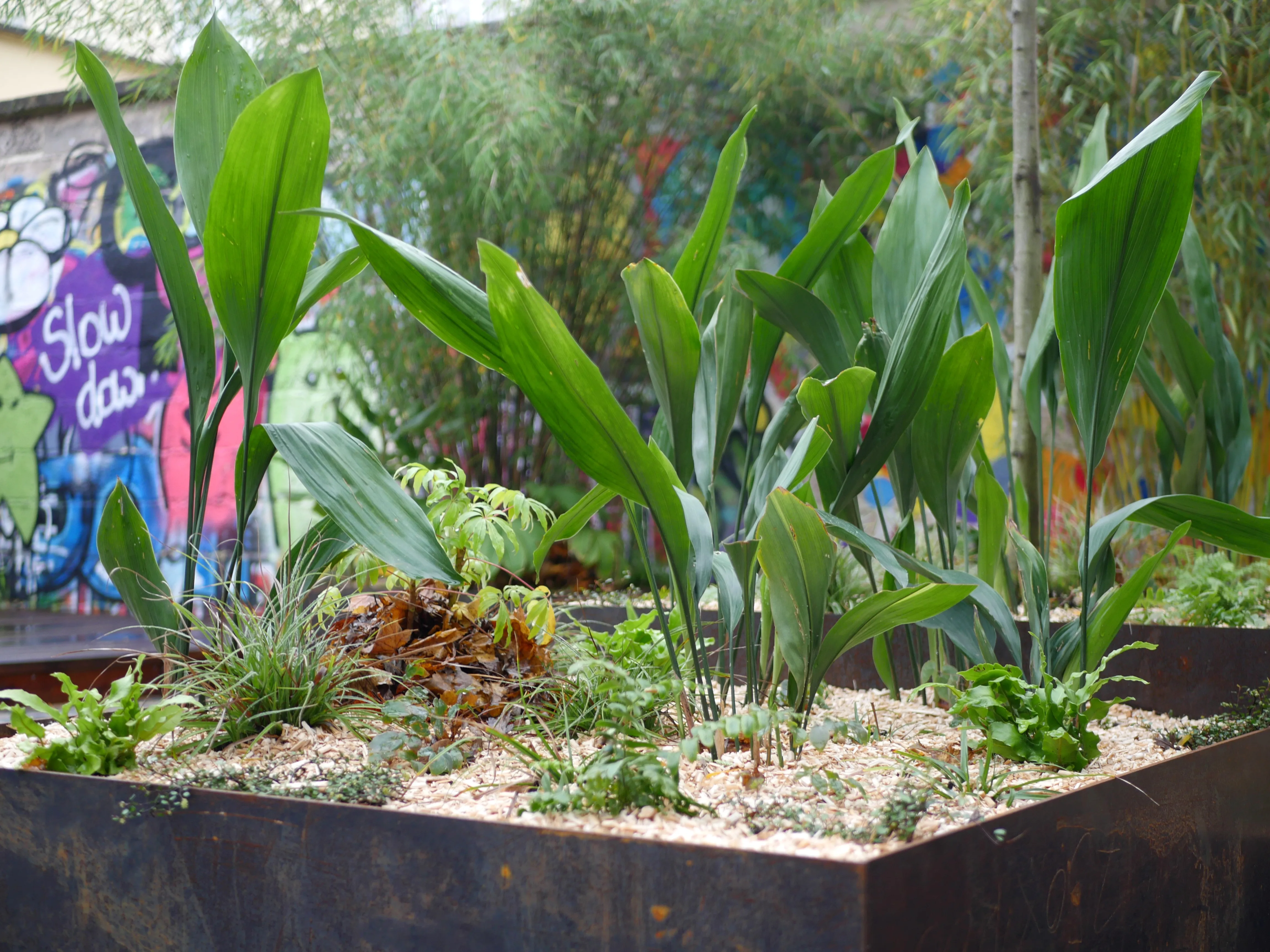 VOTRE JARDIN DE DEMAIN