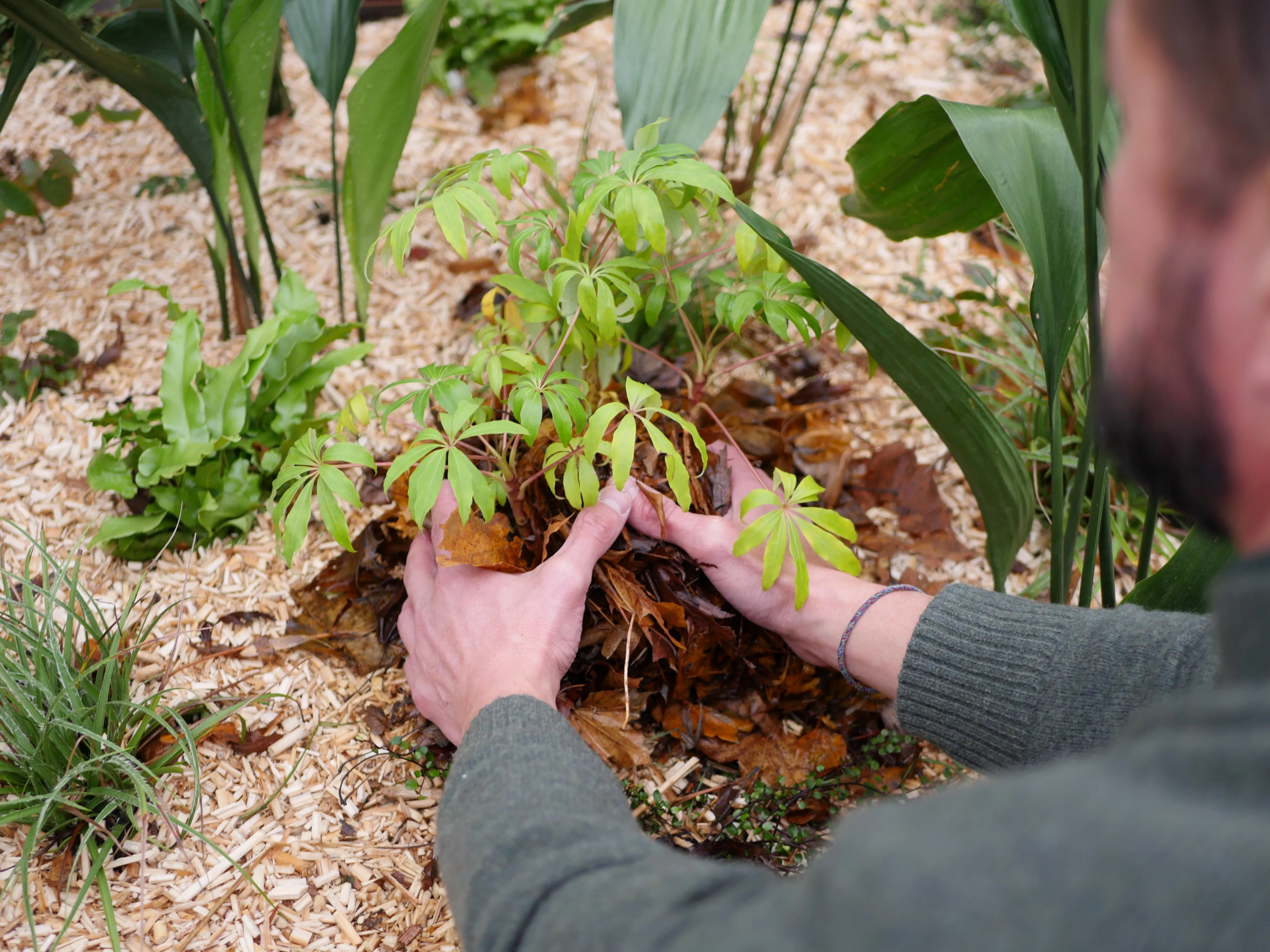 VOTRE JARDIN DE DEMAIN