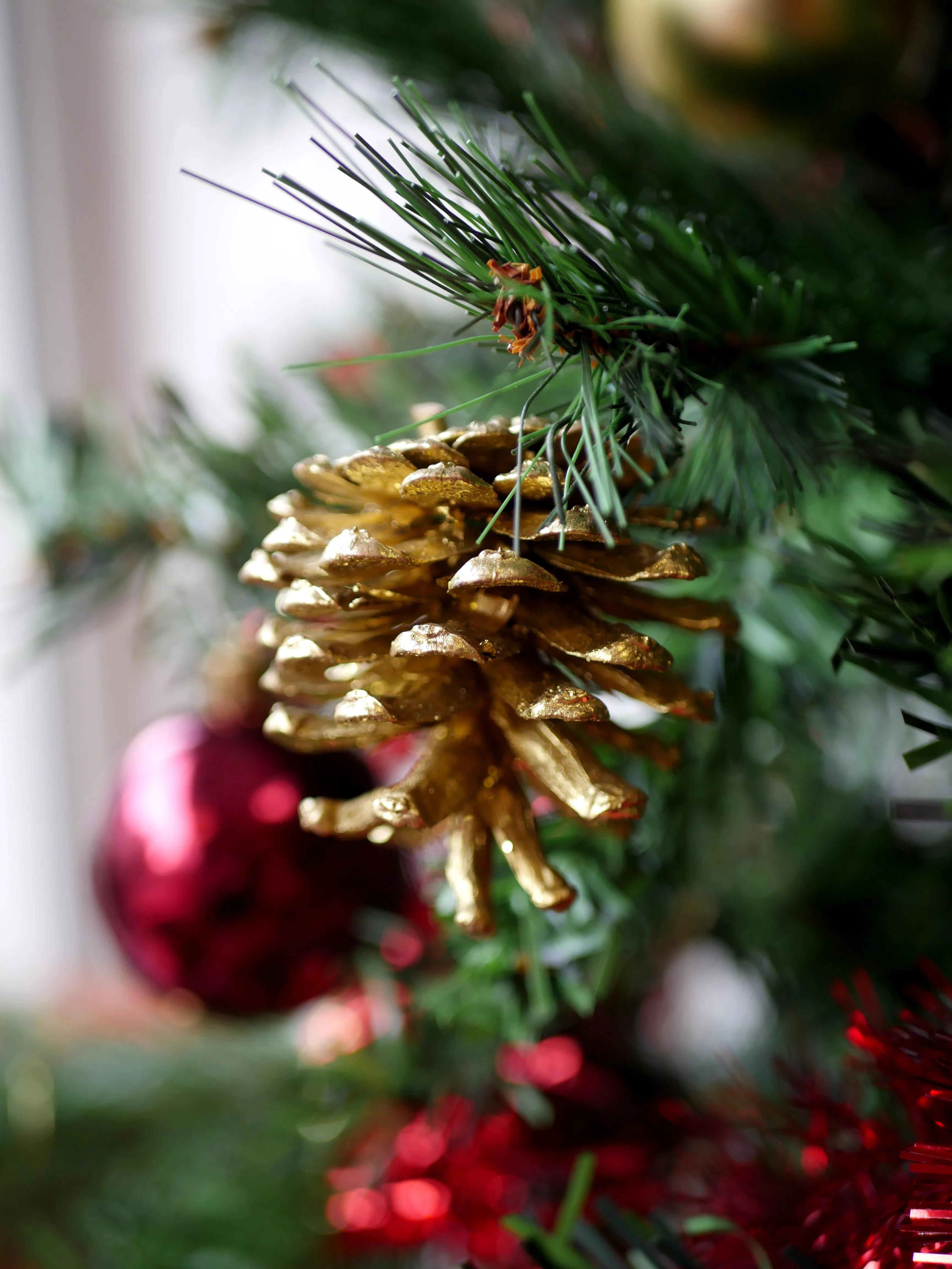 DES SURPRISES ET DES COLIS