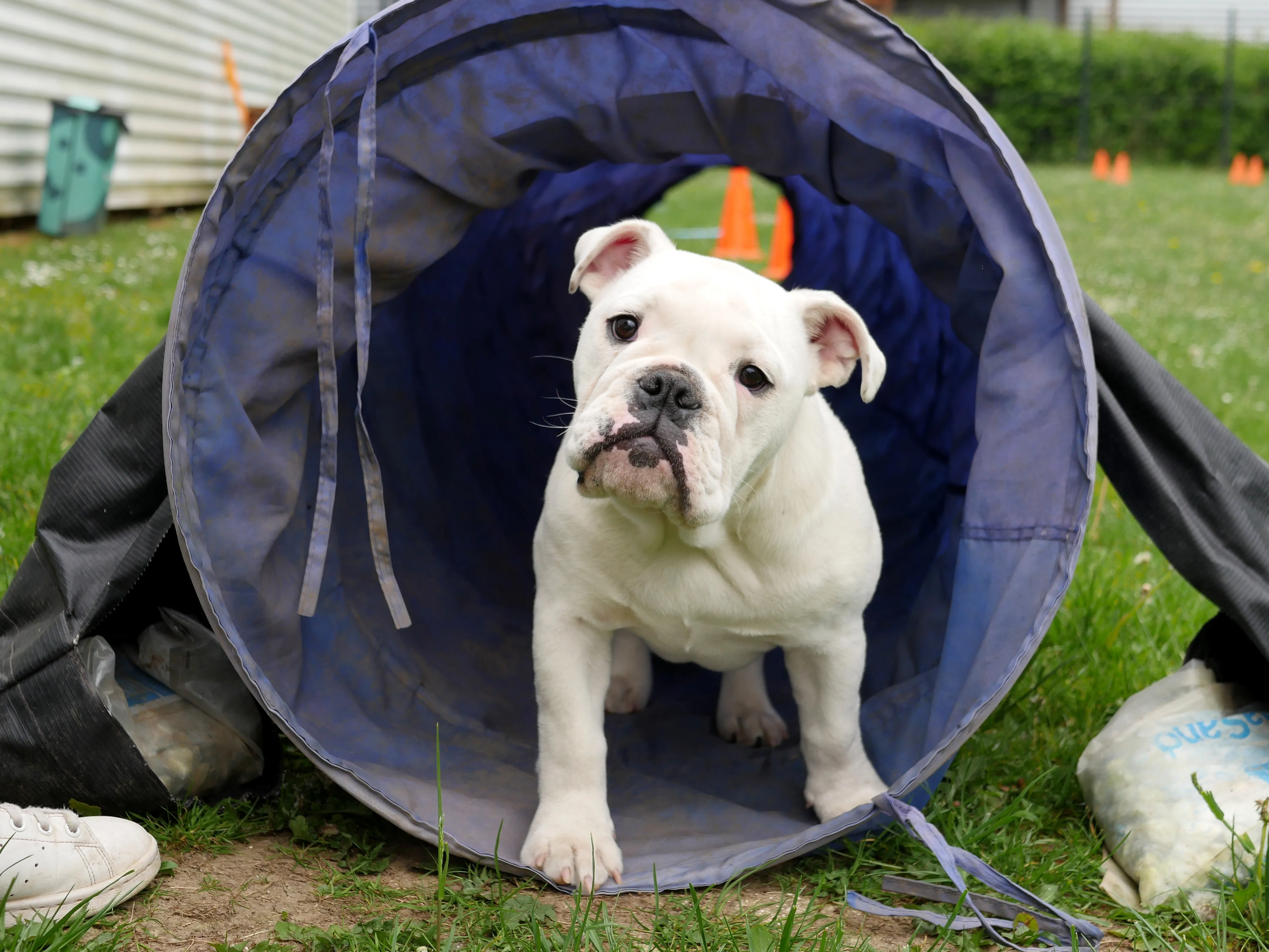 Votre animalerie familiale au service du bien-être animal...