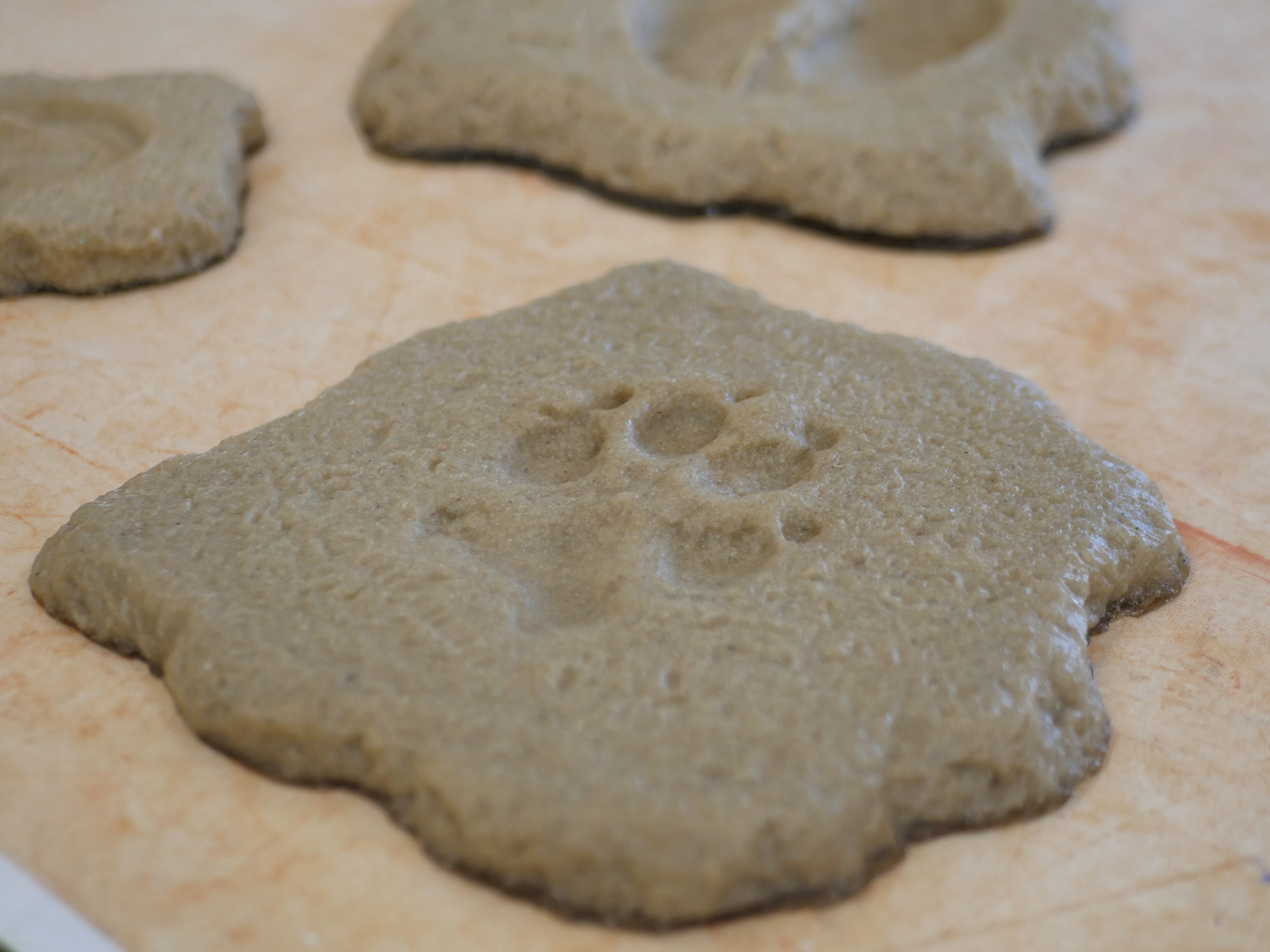 Un site préhistorique unique en Europe !