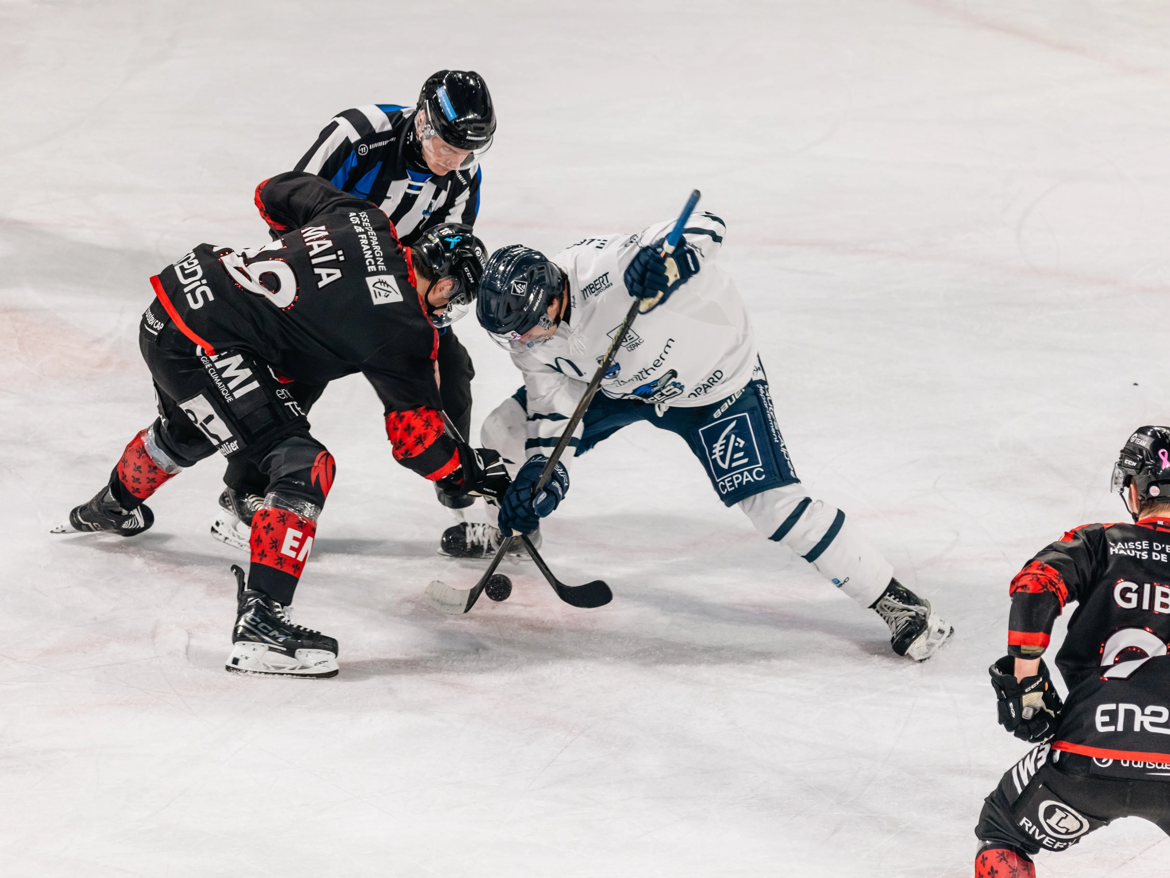 Les Gothiques d'Amiens