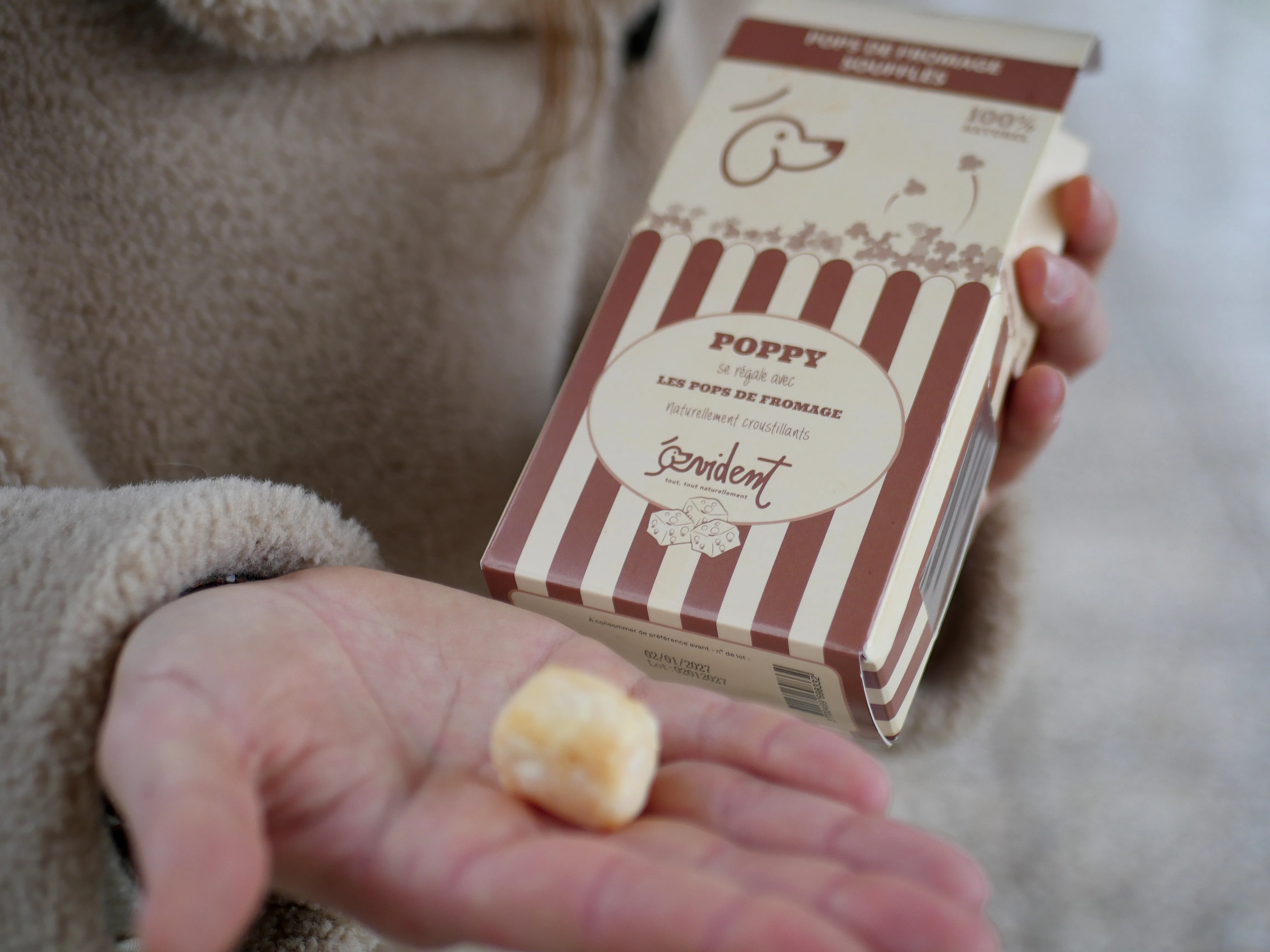 Le concept store canin amiénois qui réinvente l’univers des chiens