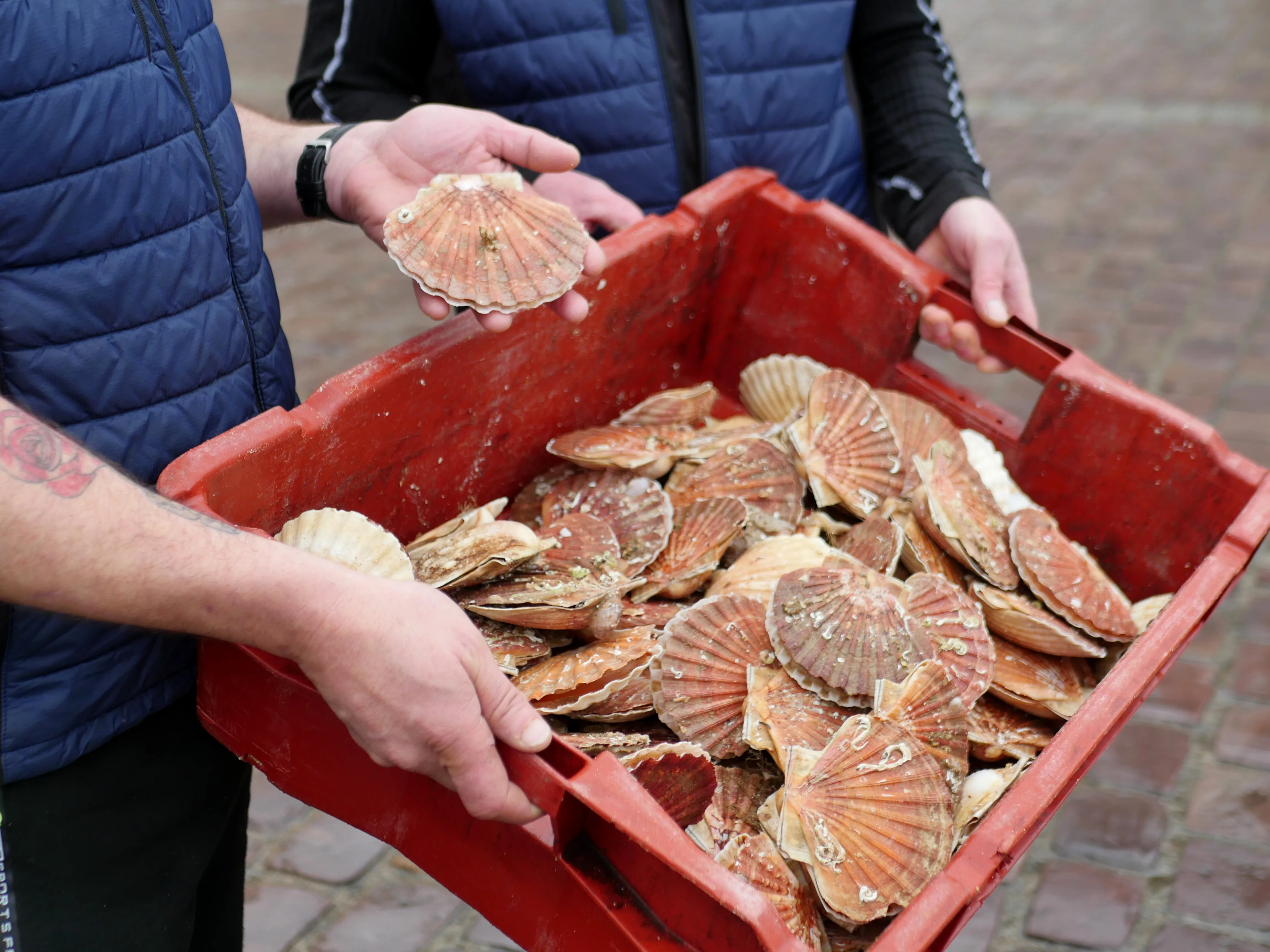 Poisson frais, fruits de mer et dégustation aux Halles d’Amiens