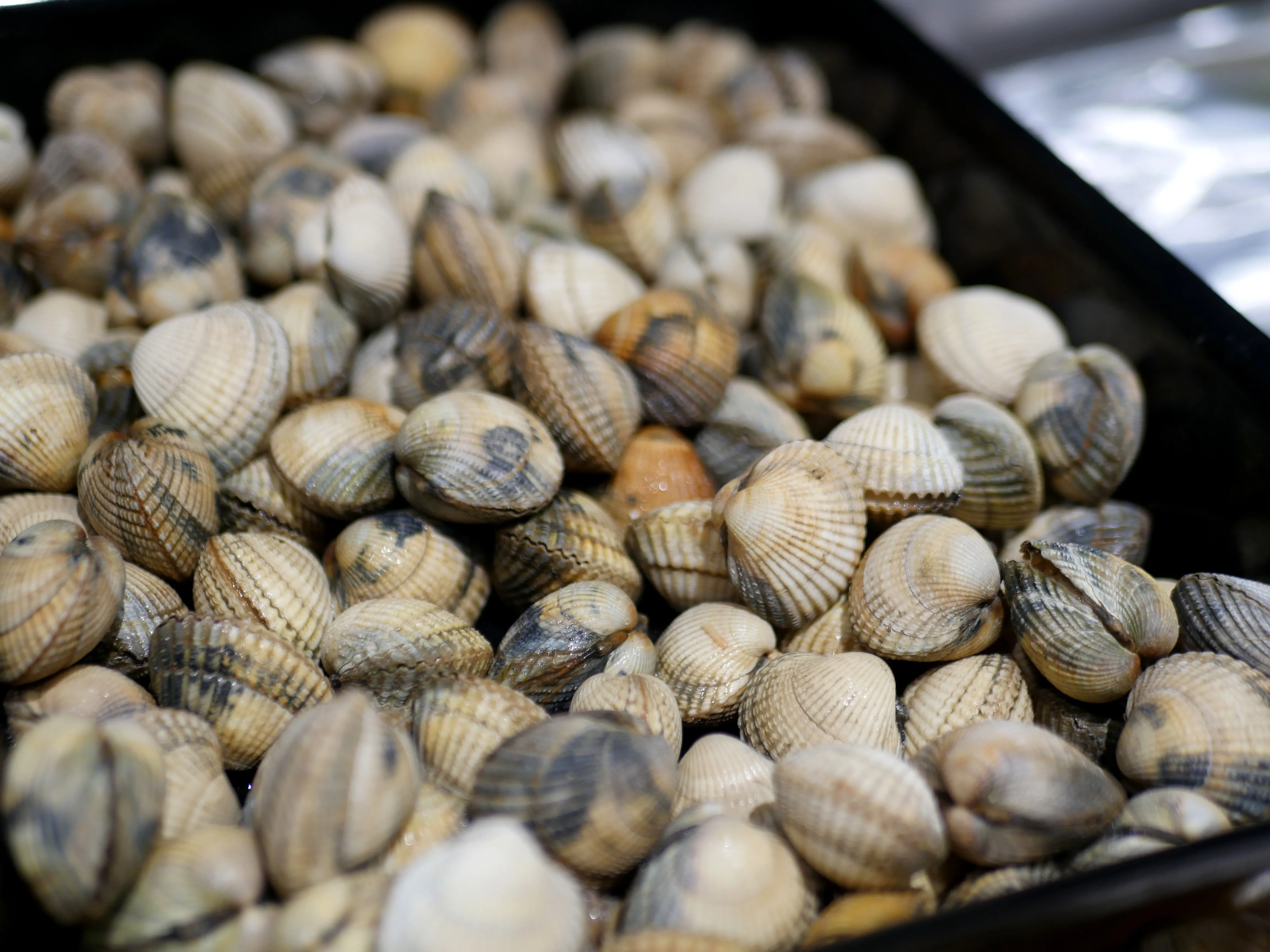 Poisson frais, fruits de mer et dégustation aux Halles d’Amiens