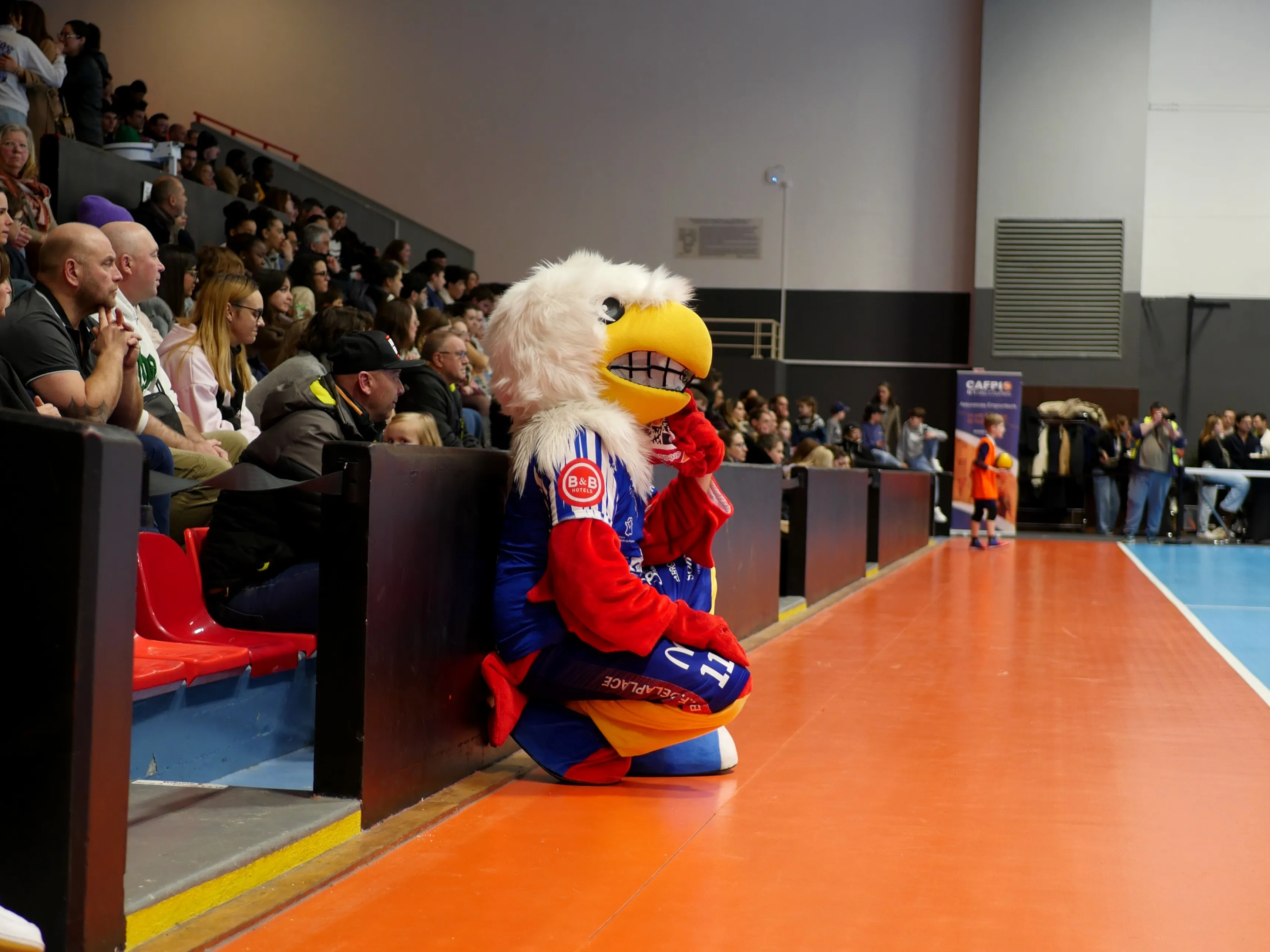 Vive les Aigles d'Amiens !