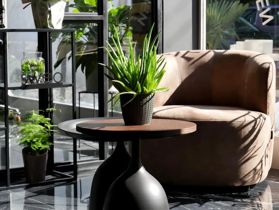 Le style et l’élégance