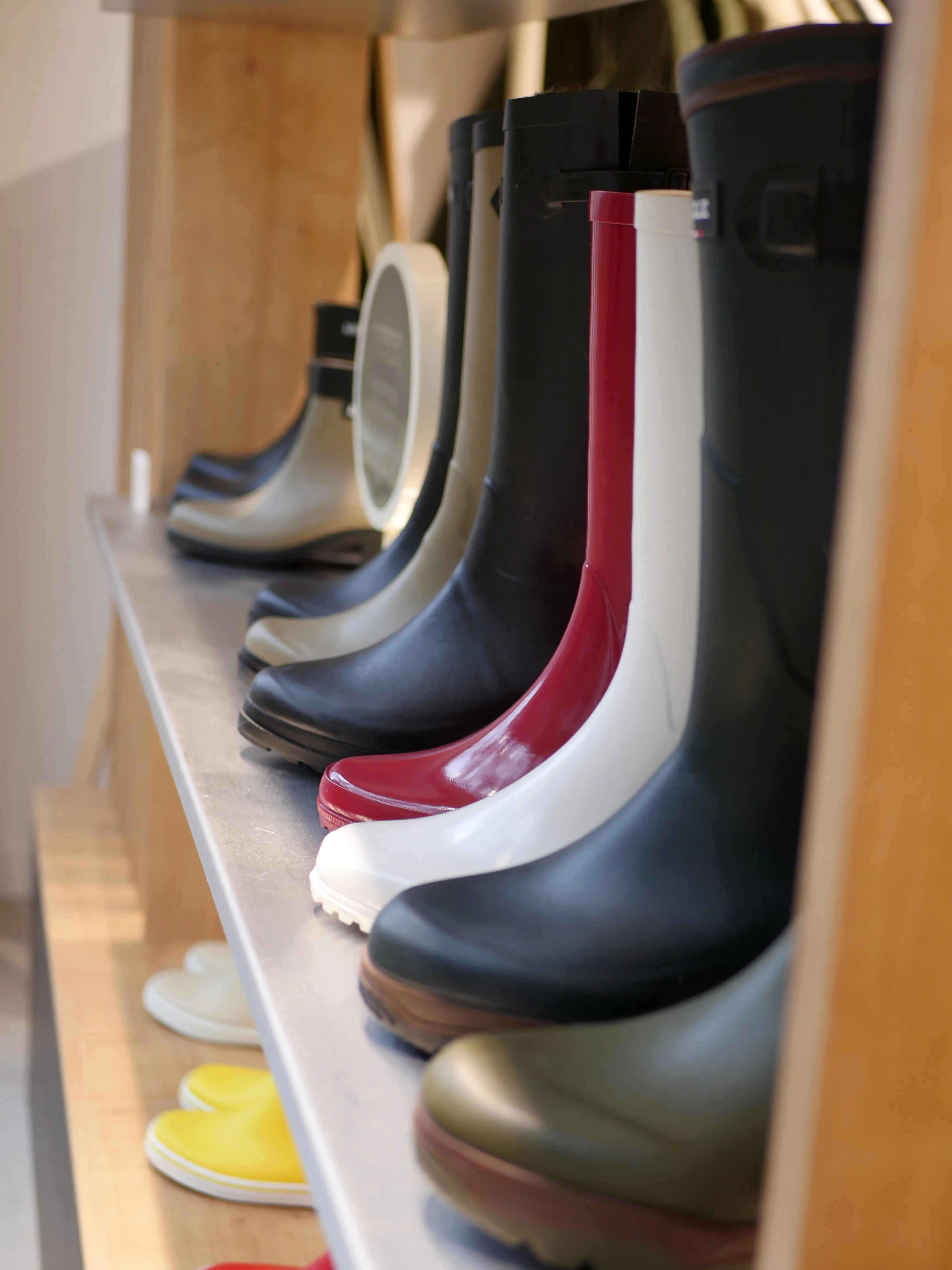 Il pleut, Il mouille... C'est la fête à la grenouille !