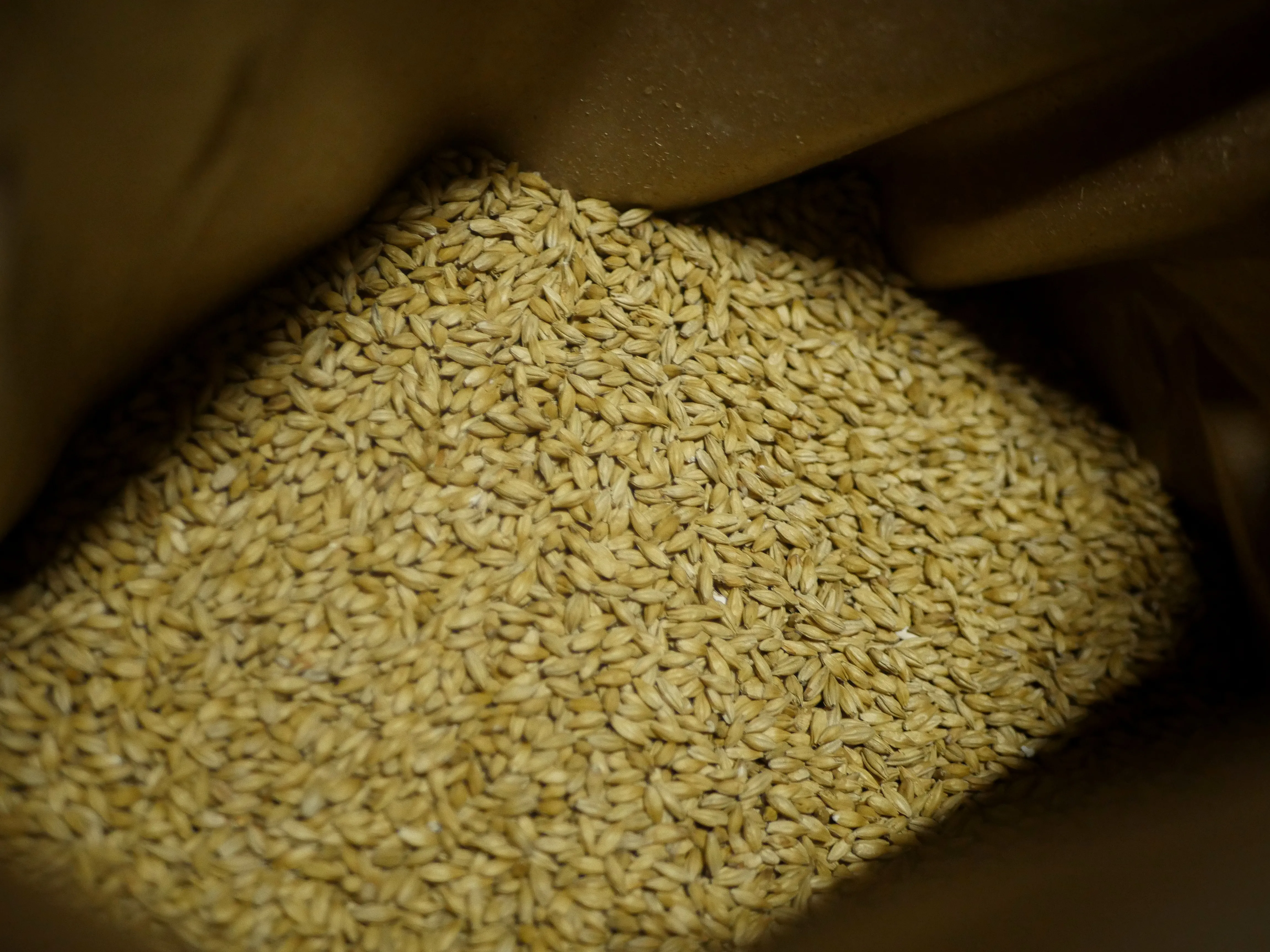 Des bières locales à l'effigie d'Amiens