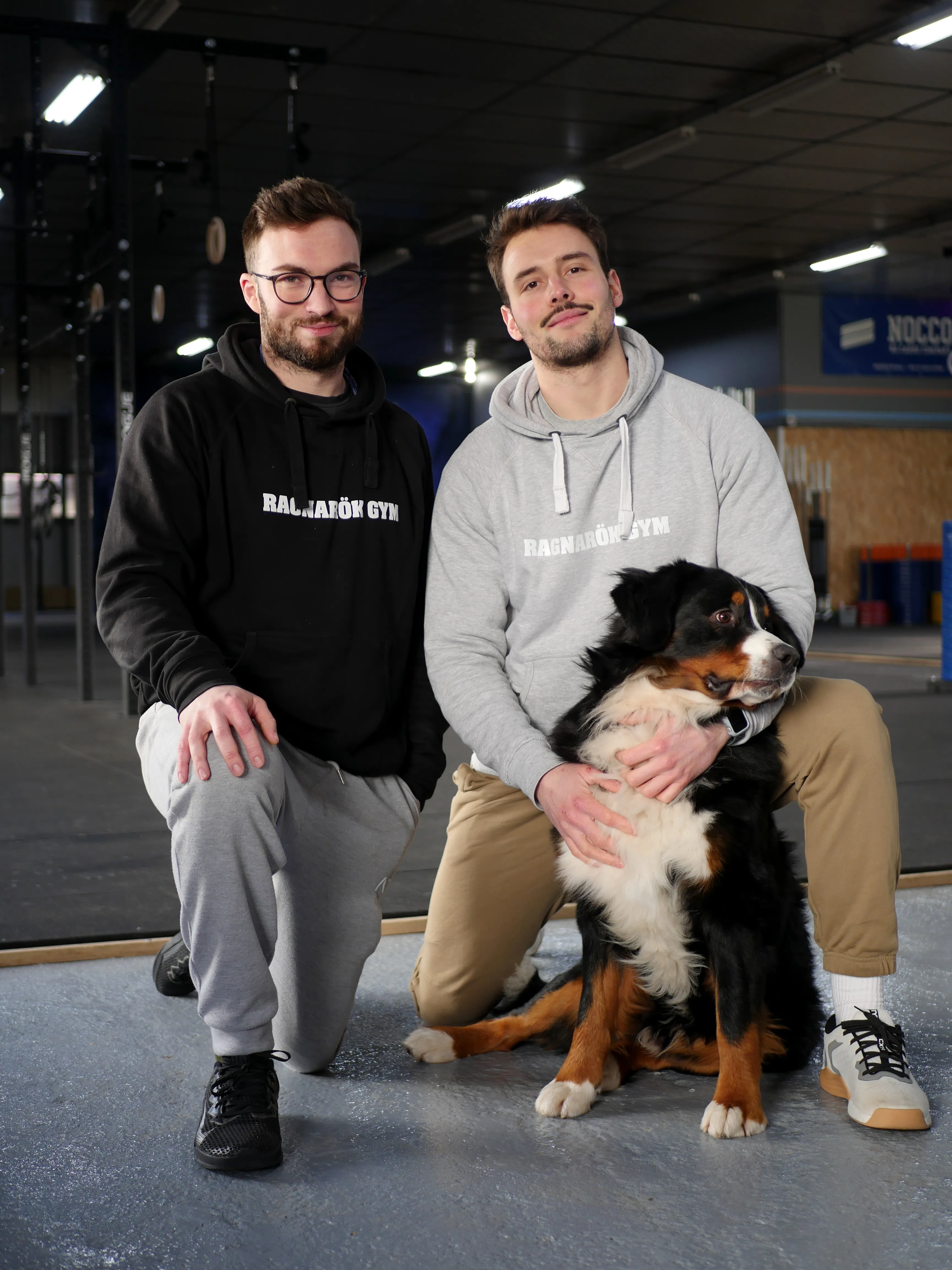 Pour devenir costauds comme des vikings