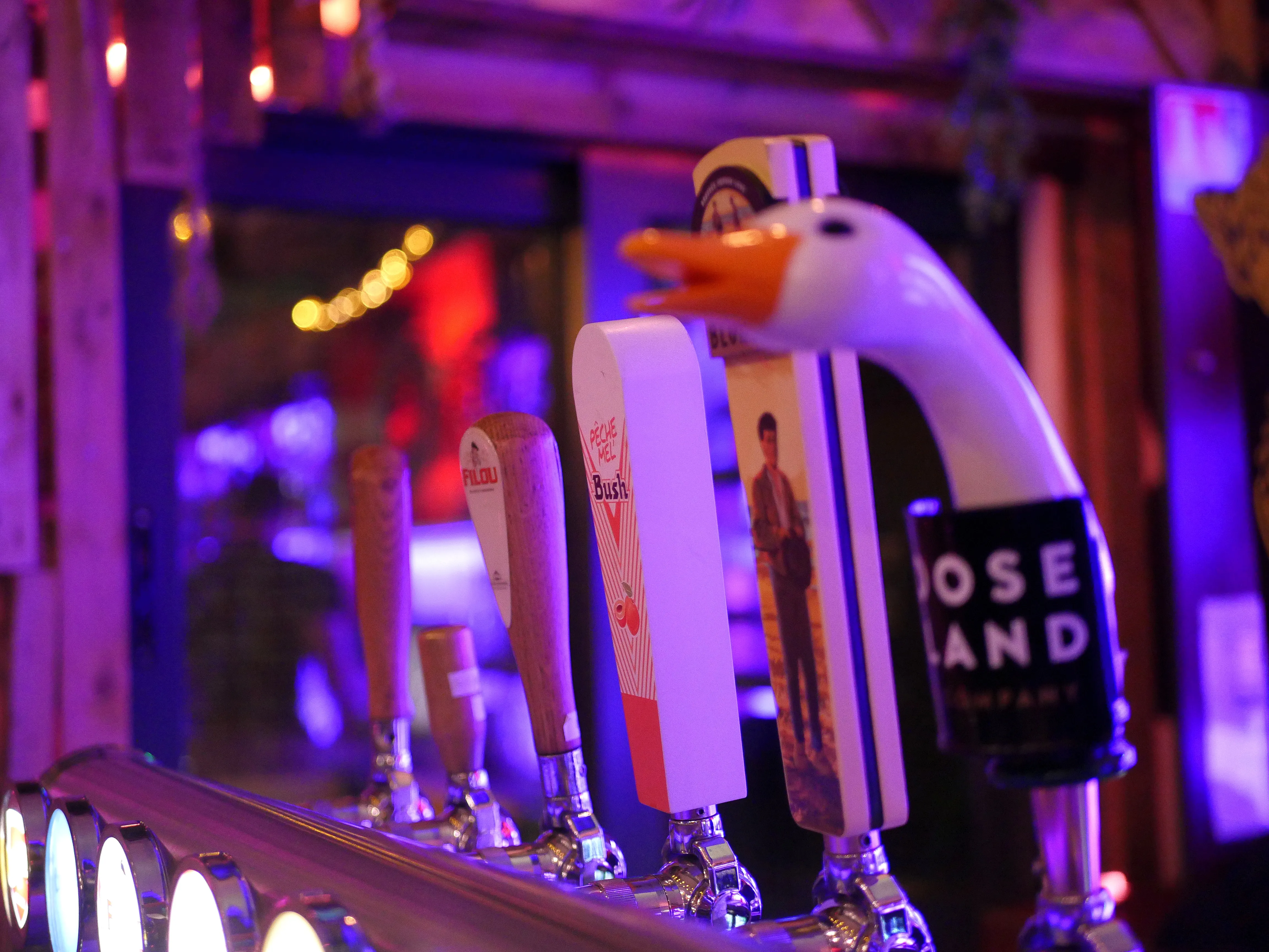 Bienvenue au Network !