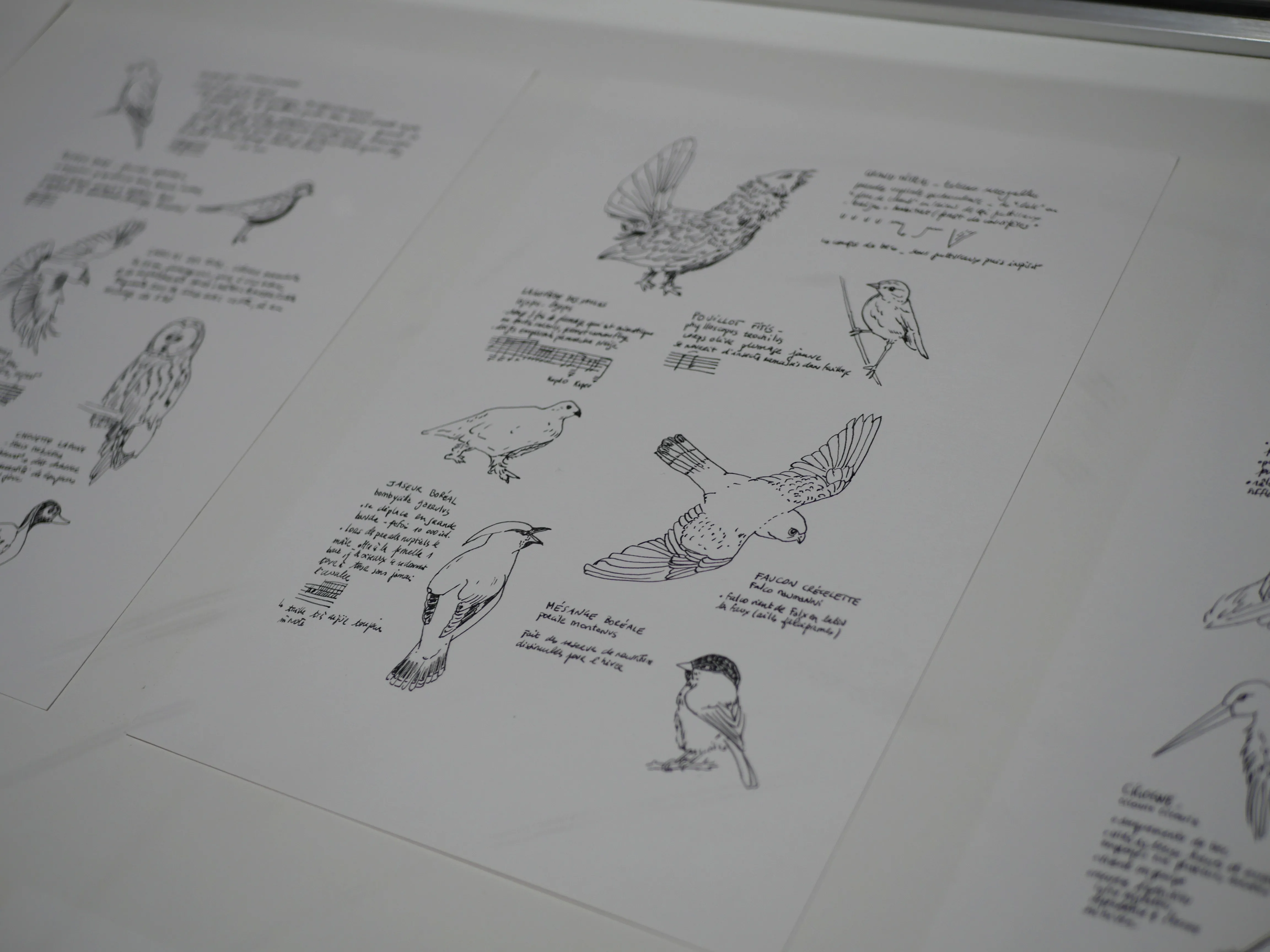 ou la MACU pour les intimes...